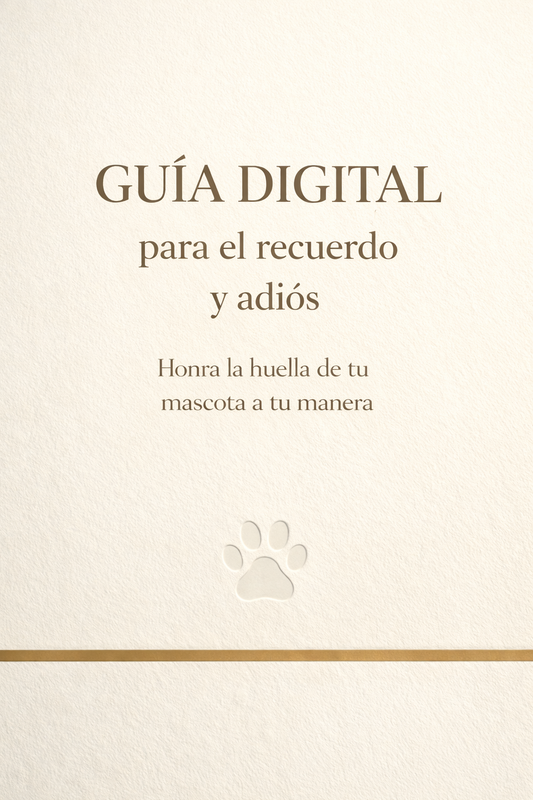 Ebook